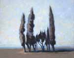 montebello-venice-smichele-2011-oil-canvas-40x50cm-dpn100920113588